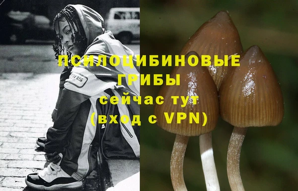бутират Елабуга
