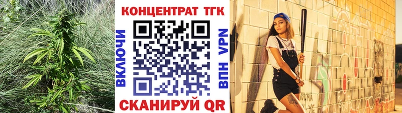 Дистиллят ТГК THC oil  магазин продажи наркотиков  ссылка на мегу как зайти  Жердевка 